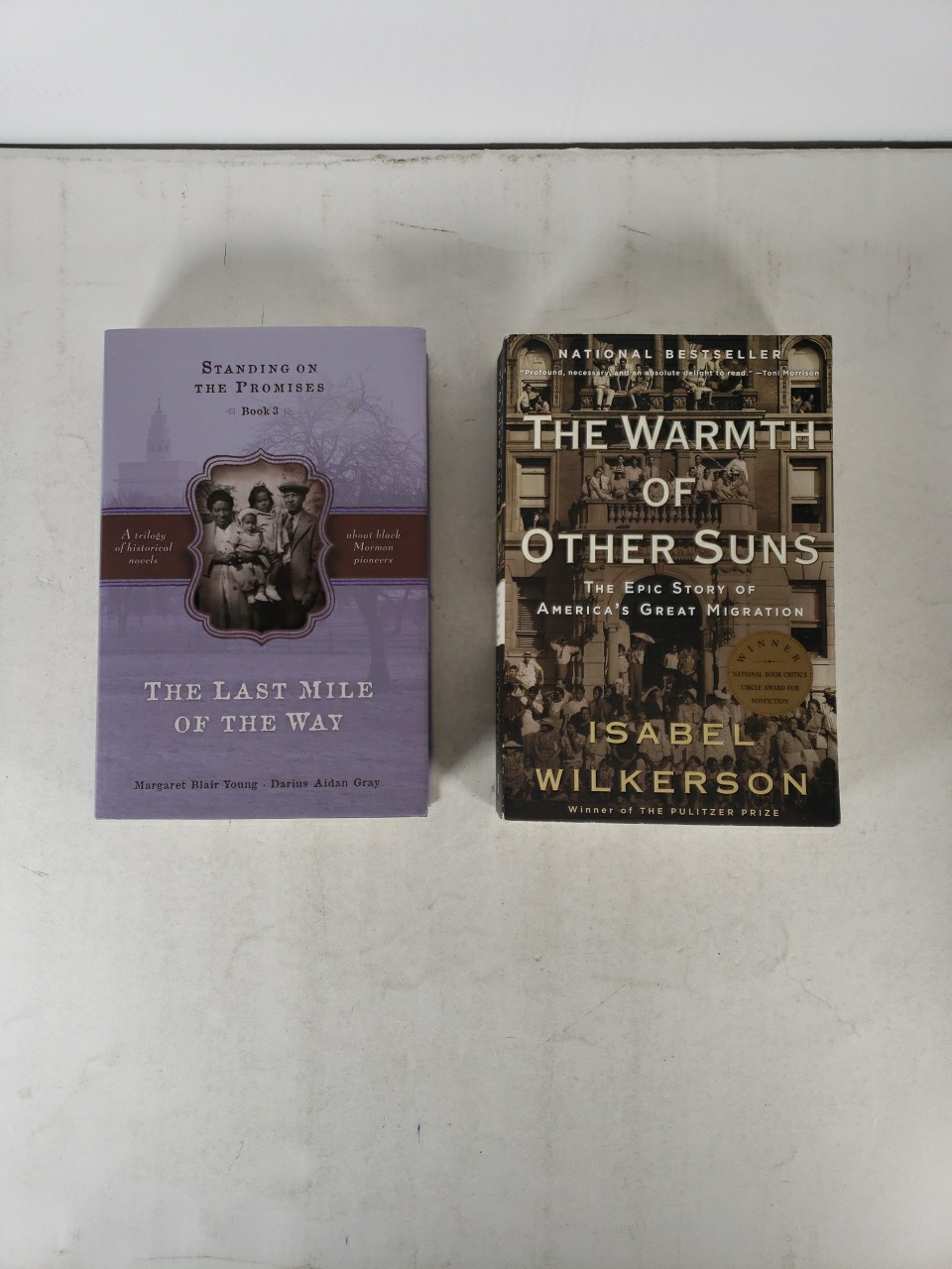 Black American History (8 Book Lot) Slavery, John Brown, Migrating West, Novel