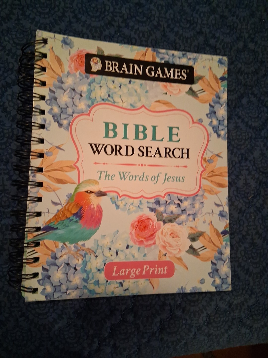 Brain Games – Bible Ser.: Brain Games Bible Word Search : Psalms and Prayer…
