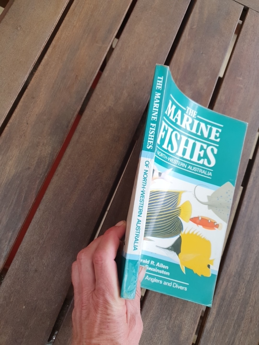 Marine Fishes of North-Western Australia Gerald R Allen 1988 Superior Plates