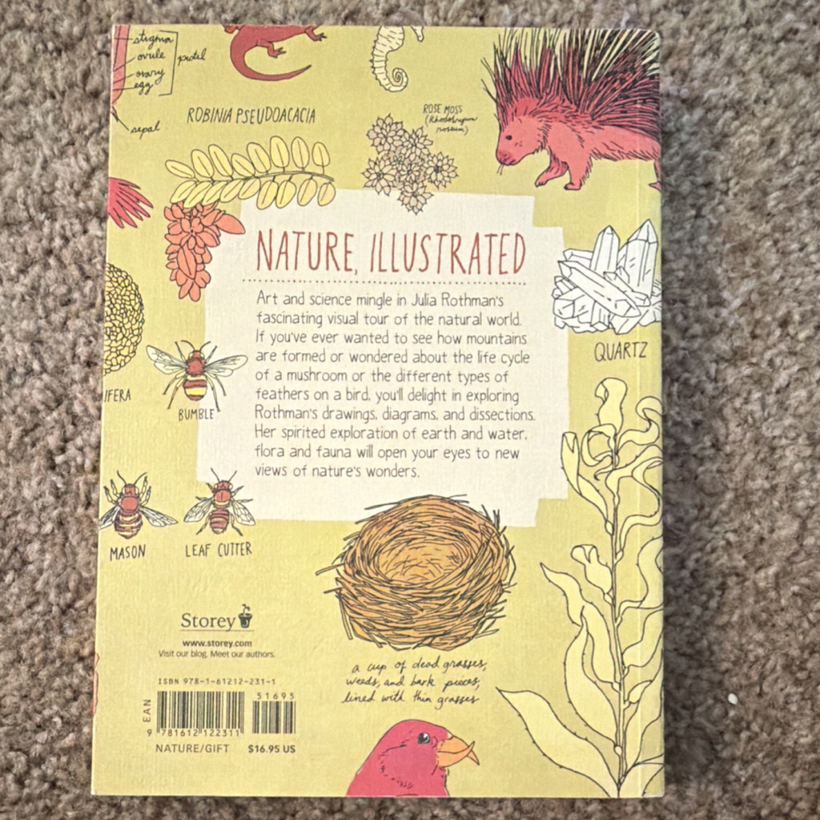 Julia Rothman Nature Anatomy Curious Parts Natural World Trade Paperback