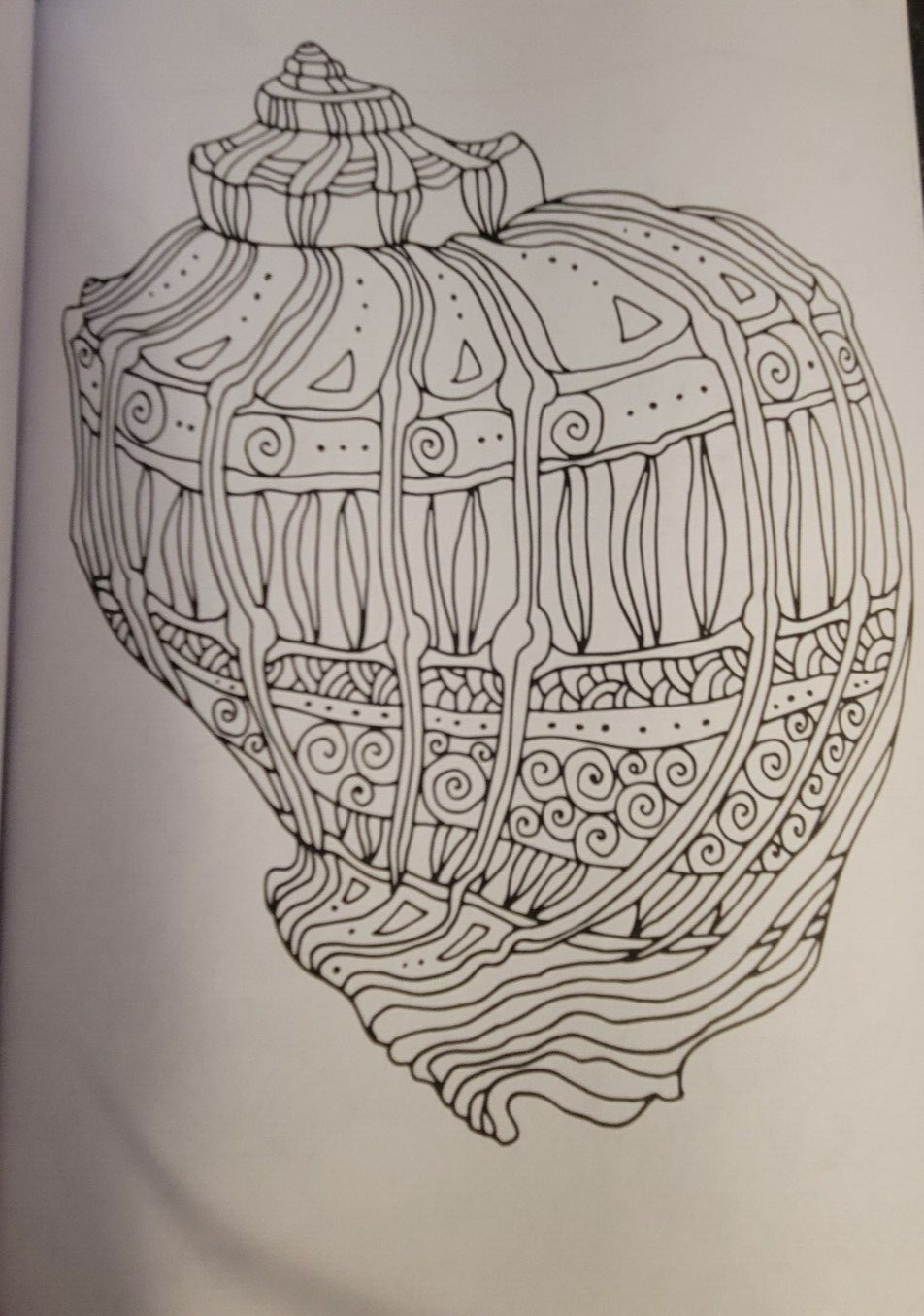 SEASUDE ESCAPES Adult Coloring Book With 62 Prints Ready To Color Relaxing Calm