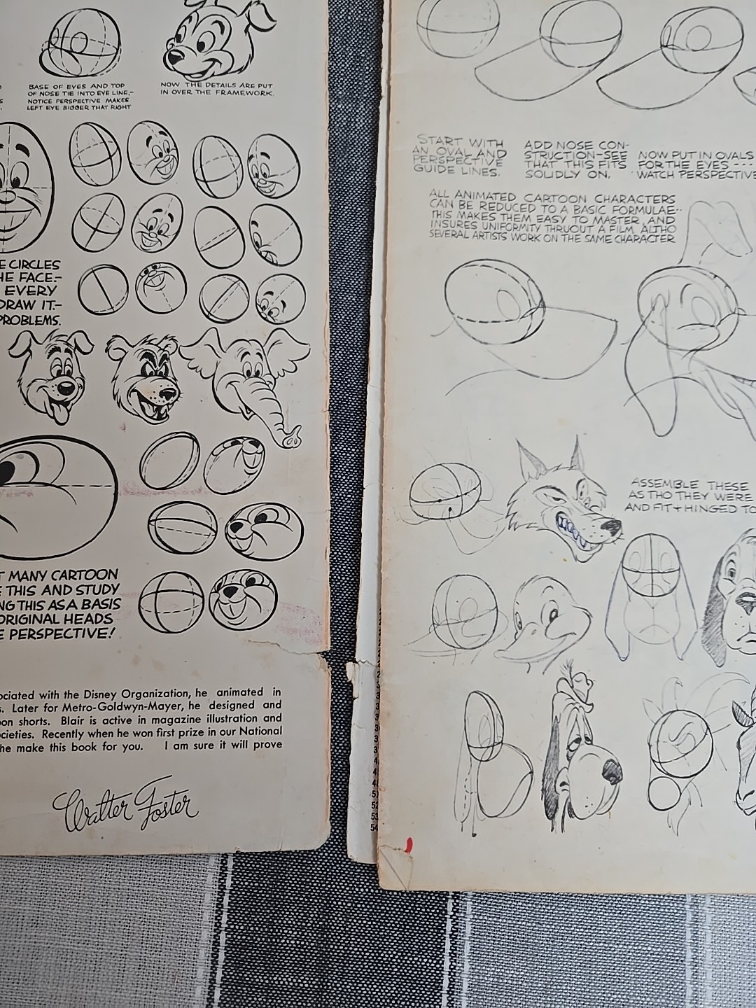 Animation by Preston Blair Learn How To Draw Animated Cartoons c. 1949