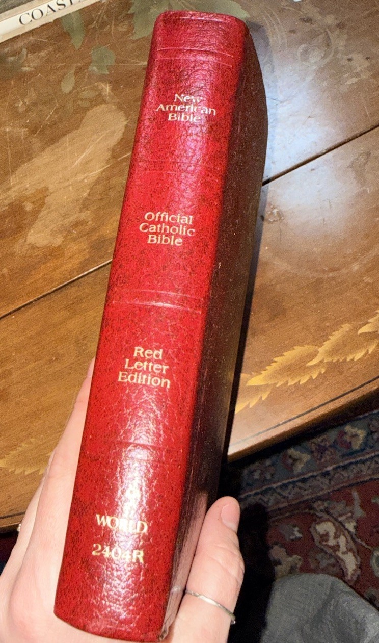New American Bible Official Catholic Bible Red Letter Edition World Press 2402BG