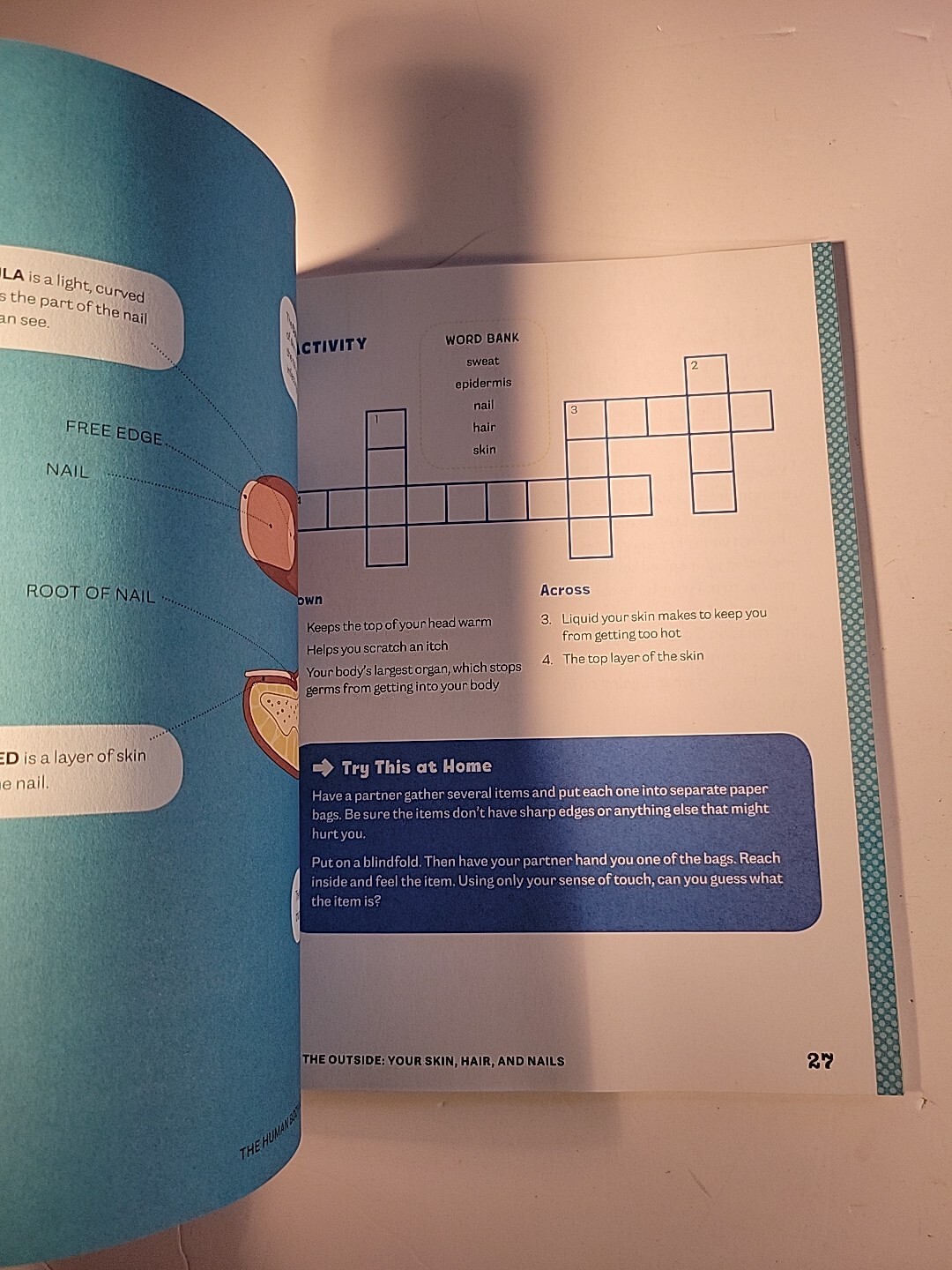 Human Body Activity Book for Kids : Hands-On Fun for Grades K-3 by Katie Stokes