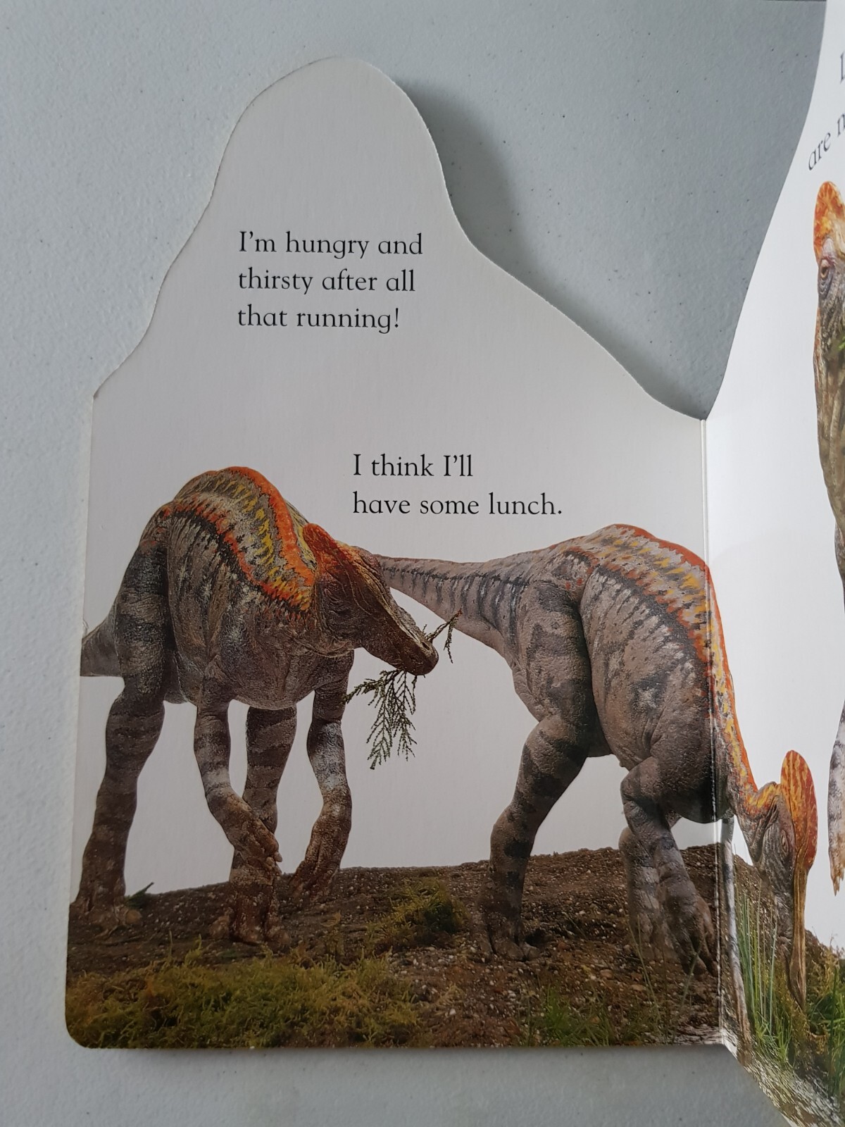DK Board Book – Corythosaurus 2000 Nicola Deschamps Dinosaur