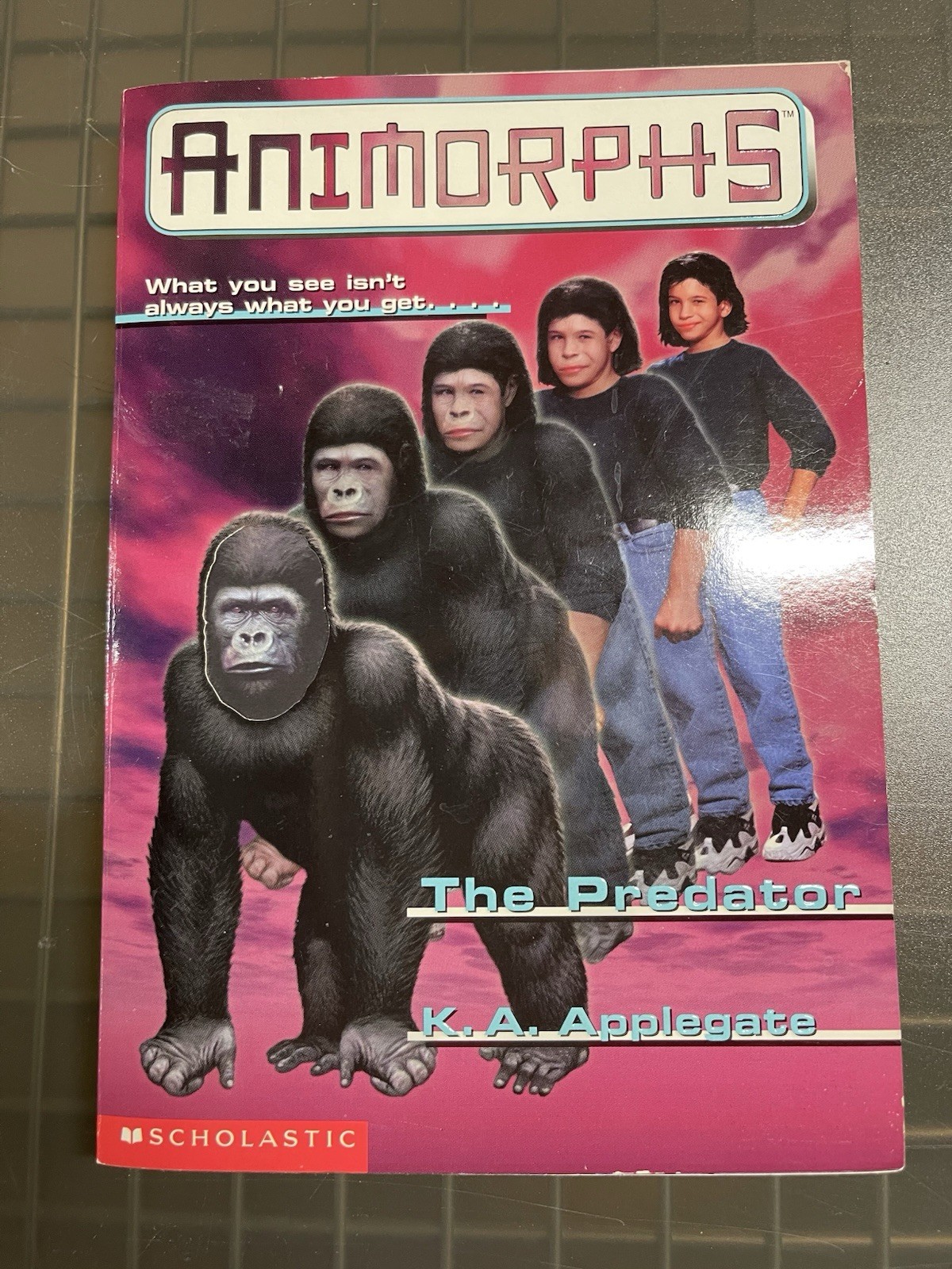 Animorphs Books 1-5 (1,2,3,4,5) Book Lot SET K.A. Applegate 1st Ed. Scholastic