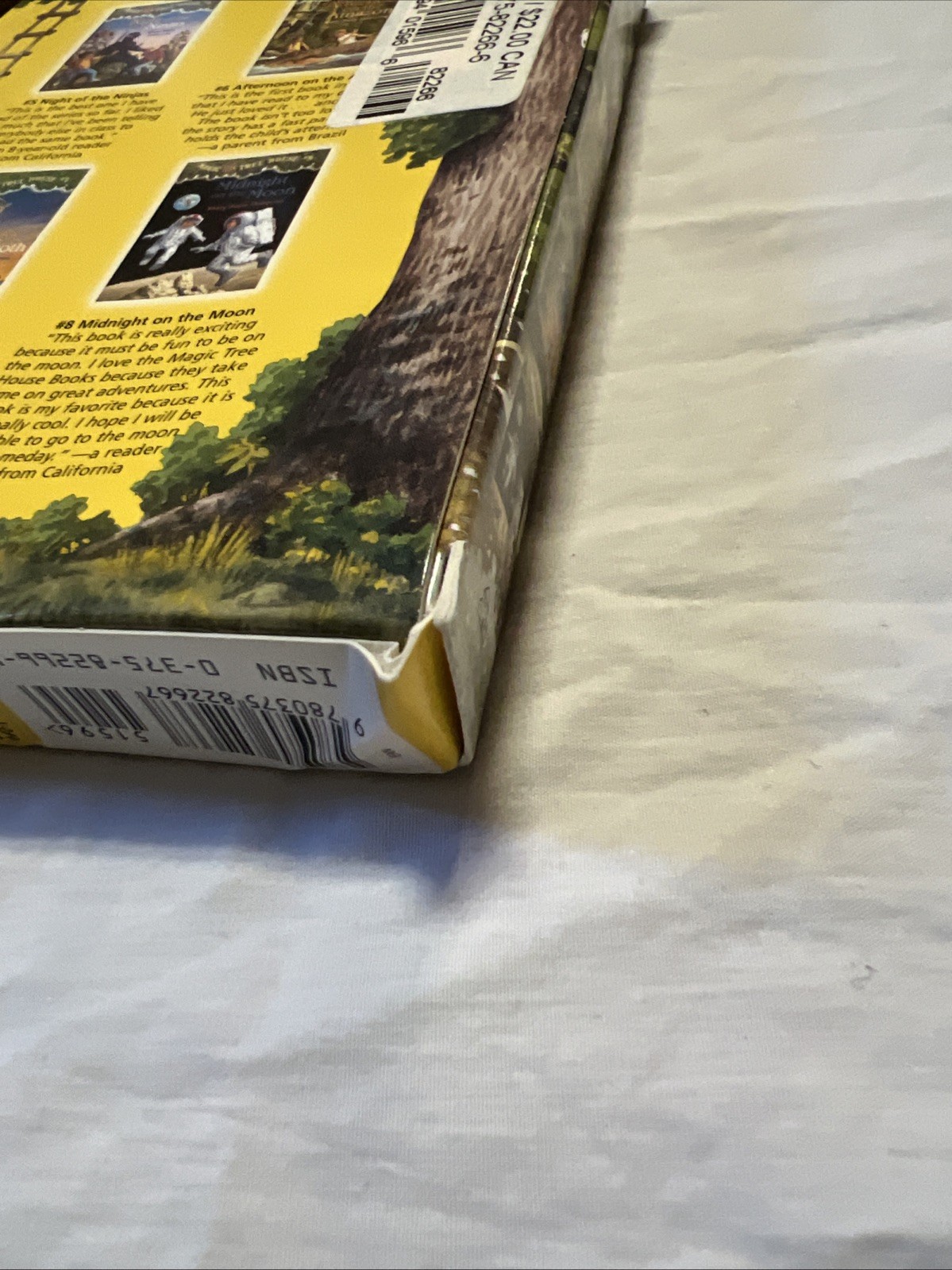 Magic Tree House Books 5–8 Box Set Mary Pope Osborne Paperback Kids