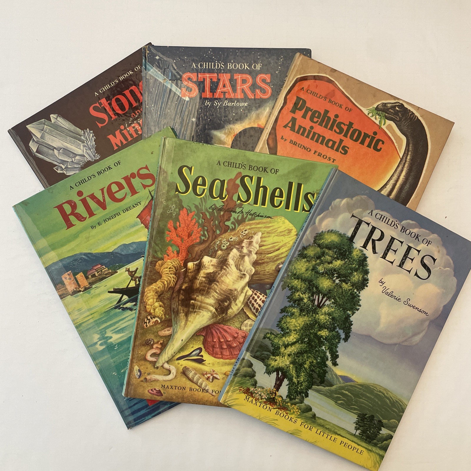 * Vintage Lot 6 A Child’s Book Of Stones Stars Animals Rovers Trees Sea Shells