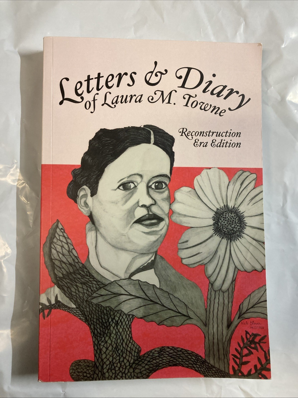 Letters and Diary of Laura M. Towne Recontruction era edition VG