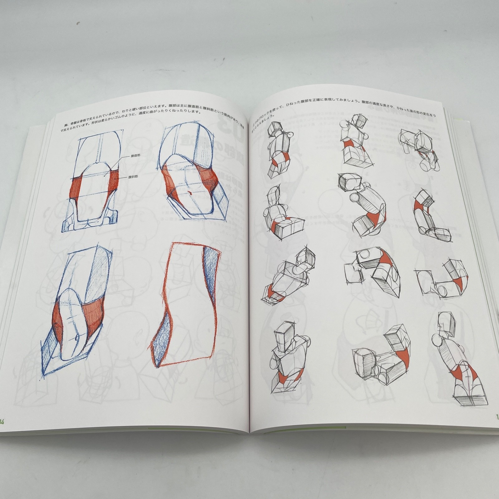 Master Guide to Drawing the Human Body Character Drawing from the Basics Book