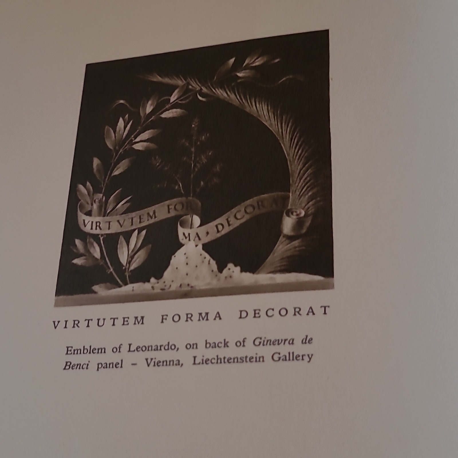 Leonardo Da Vinci Illustrated Hardcover Picture Book Reynal & Company 1956