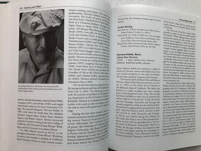 Latino Writers and Journalists by Jamie Martinez Wood all 294 pages clean