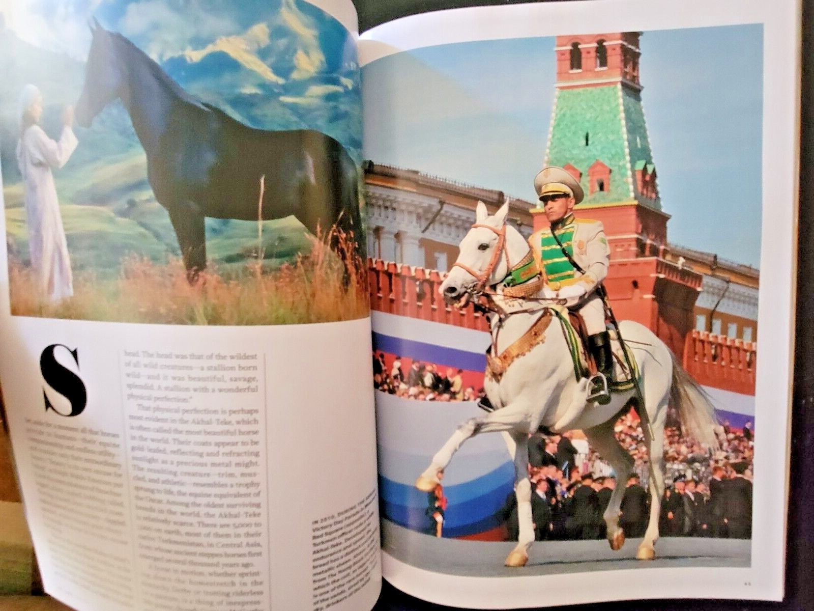 HORSES by LIFE The World’s Most Beautiful Animal – Plus Why We Love Horses