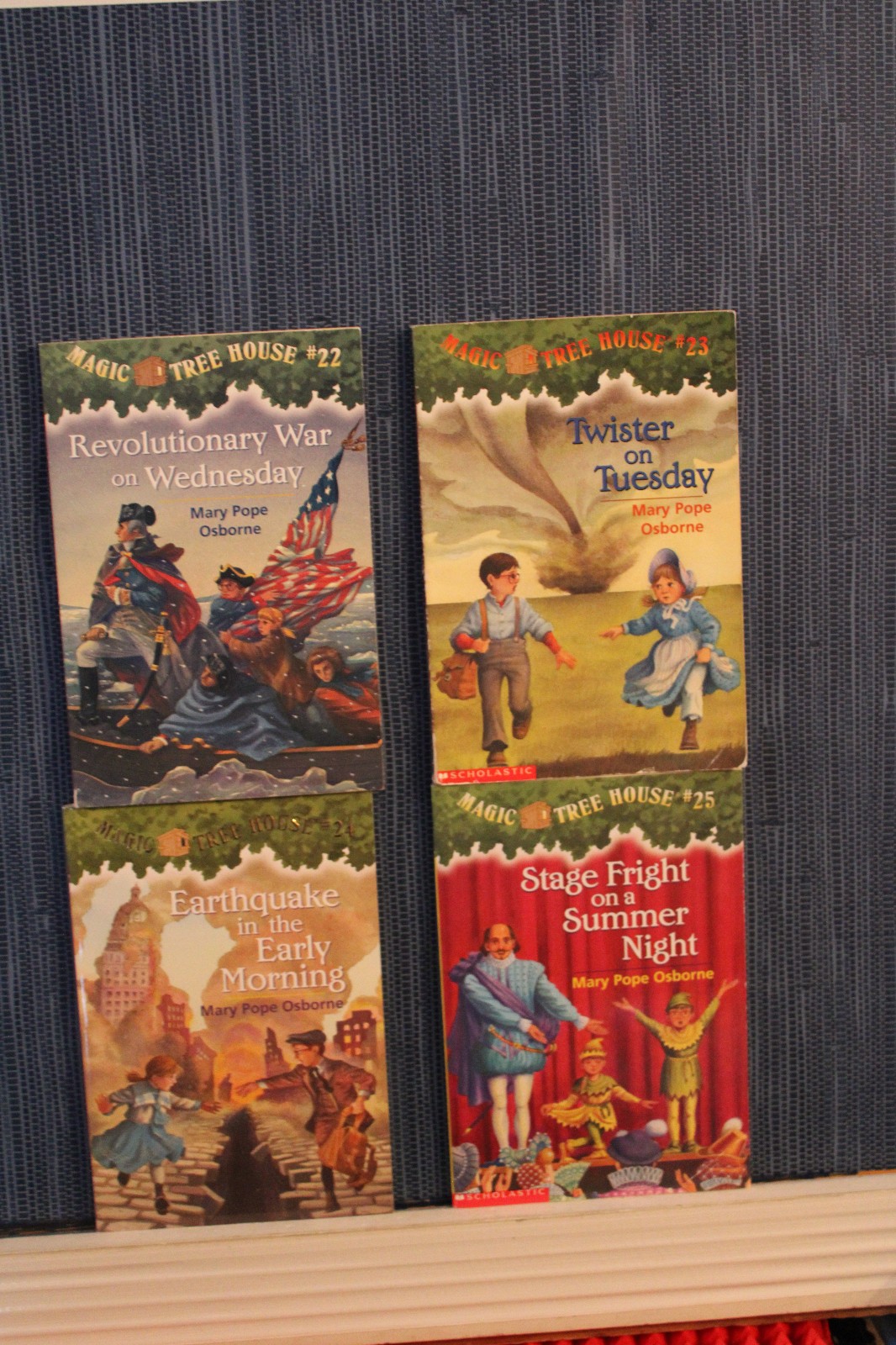 Magic Tree House Series 1-13 & 16-28 Chapter Book Lot Homeschool Teach Osborne