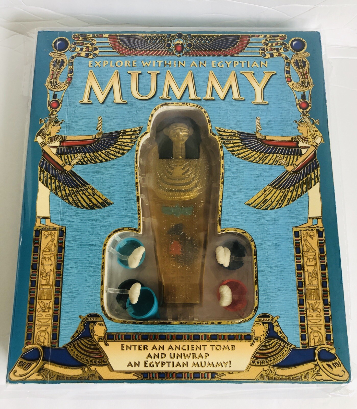 Explore Within Egyptian Mummy Travel Back in Time and Unwrap an Egyptian Rare