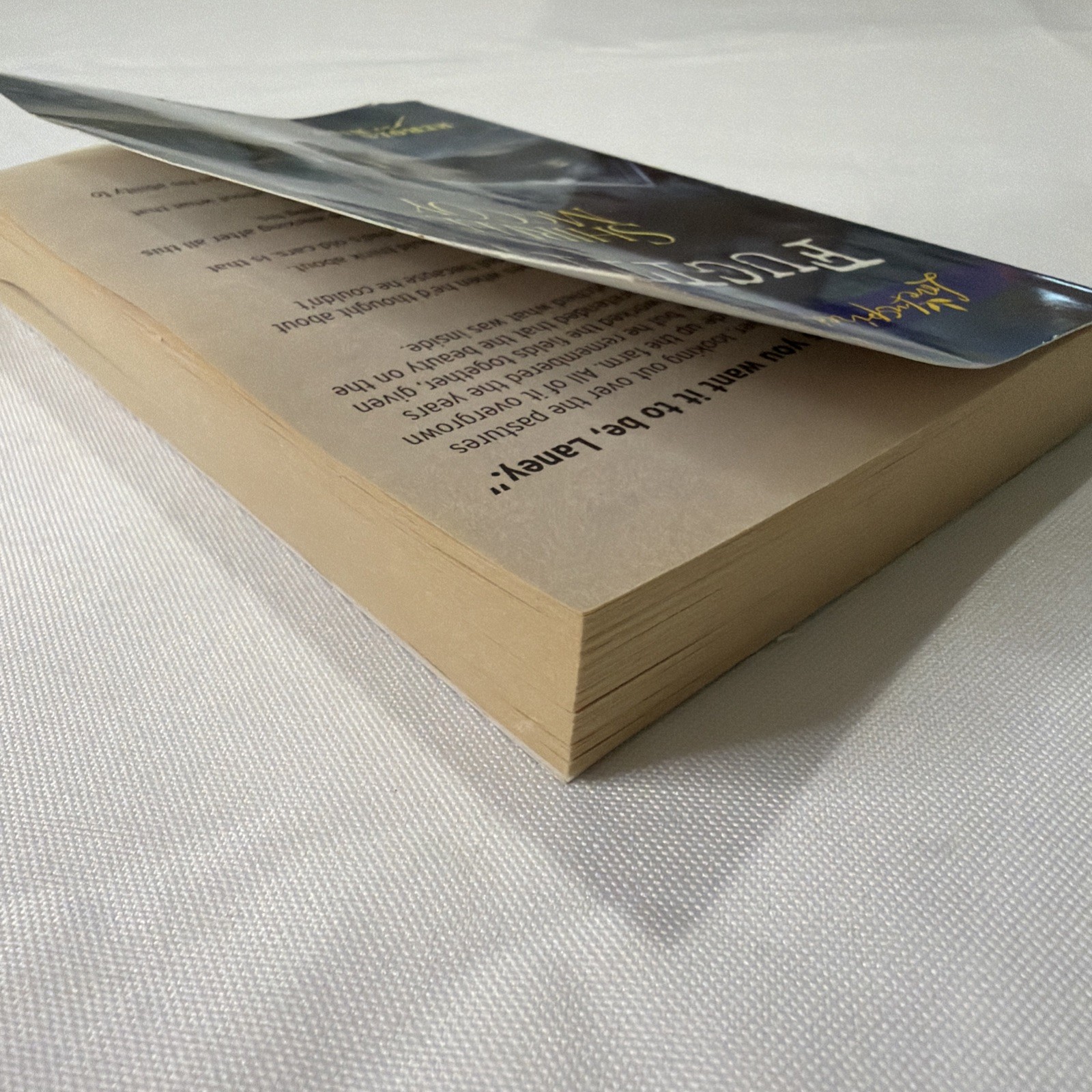 Fugitive by Shirlee McCoy (2013, Mass Market)