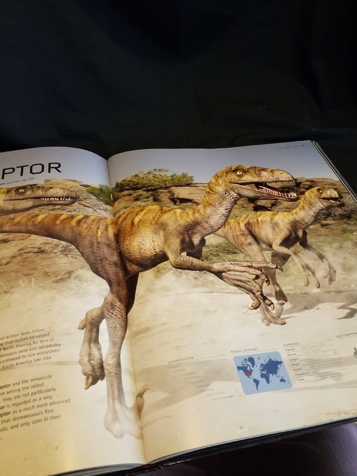 EUC Coffee Table Book, Dinosaurs by Steve Brusatte