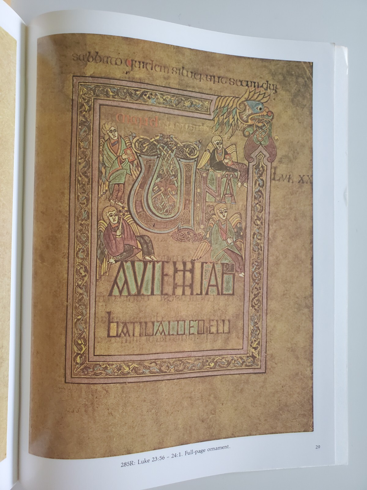 The Book of Kells : Selected Plates in Full Color (1982, Paperback, Reprint)