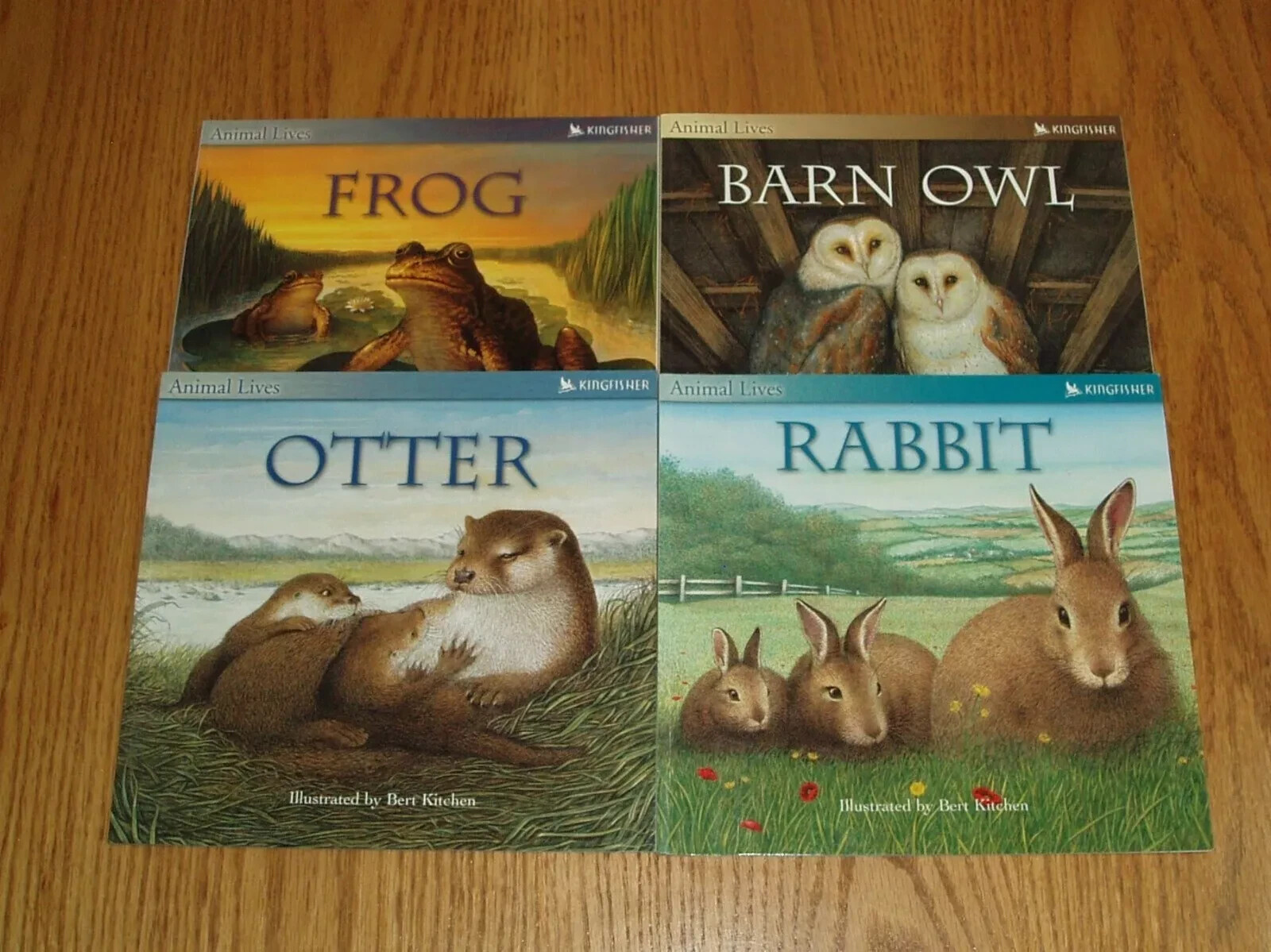 Animals Insects Reptiles *ages 5-10 *Choose from a variety *Please Read Listing.