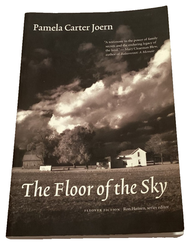 Floor Sky Pamela Carter Joern PB 2006 Nebraska Rural America Family Life Fiction