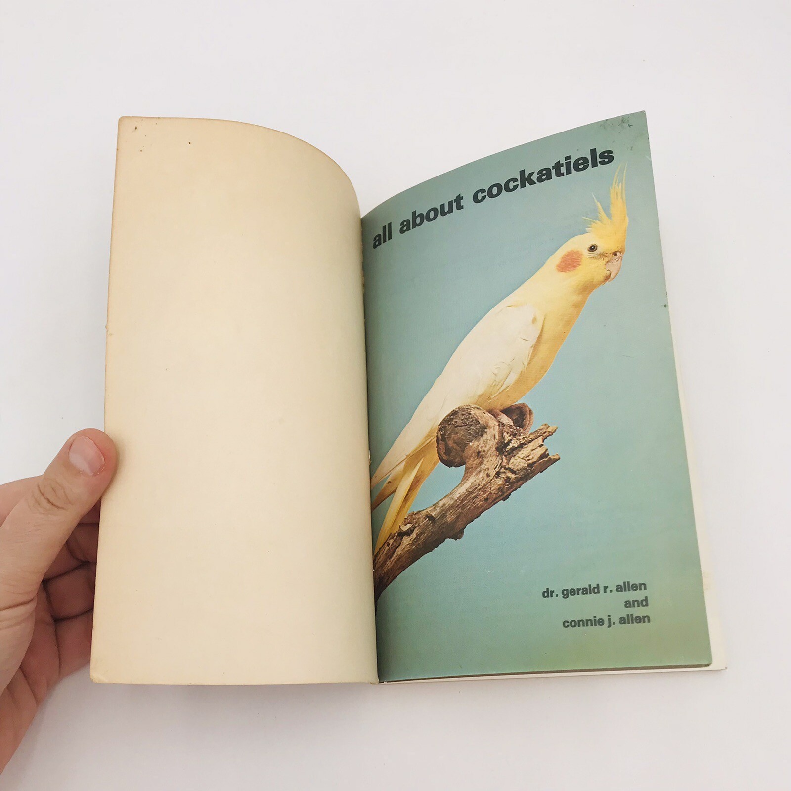 All About Cockatiels Gerald & Connie Allen Paperback Color Illus VTG 1977 Bird