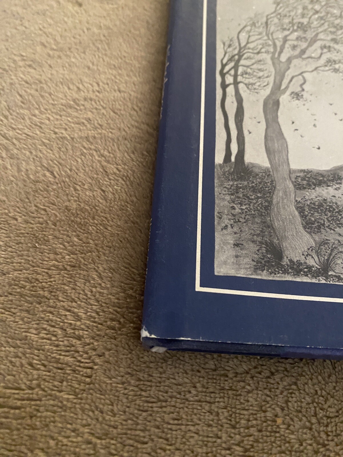 NIGHTDANCES By James Skofield – Hardcover – Good – 1981