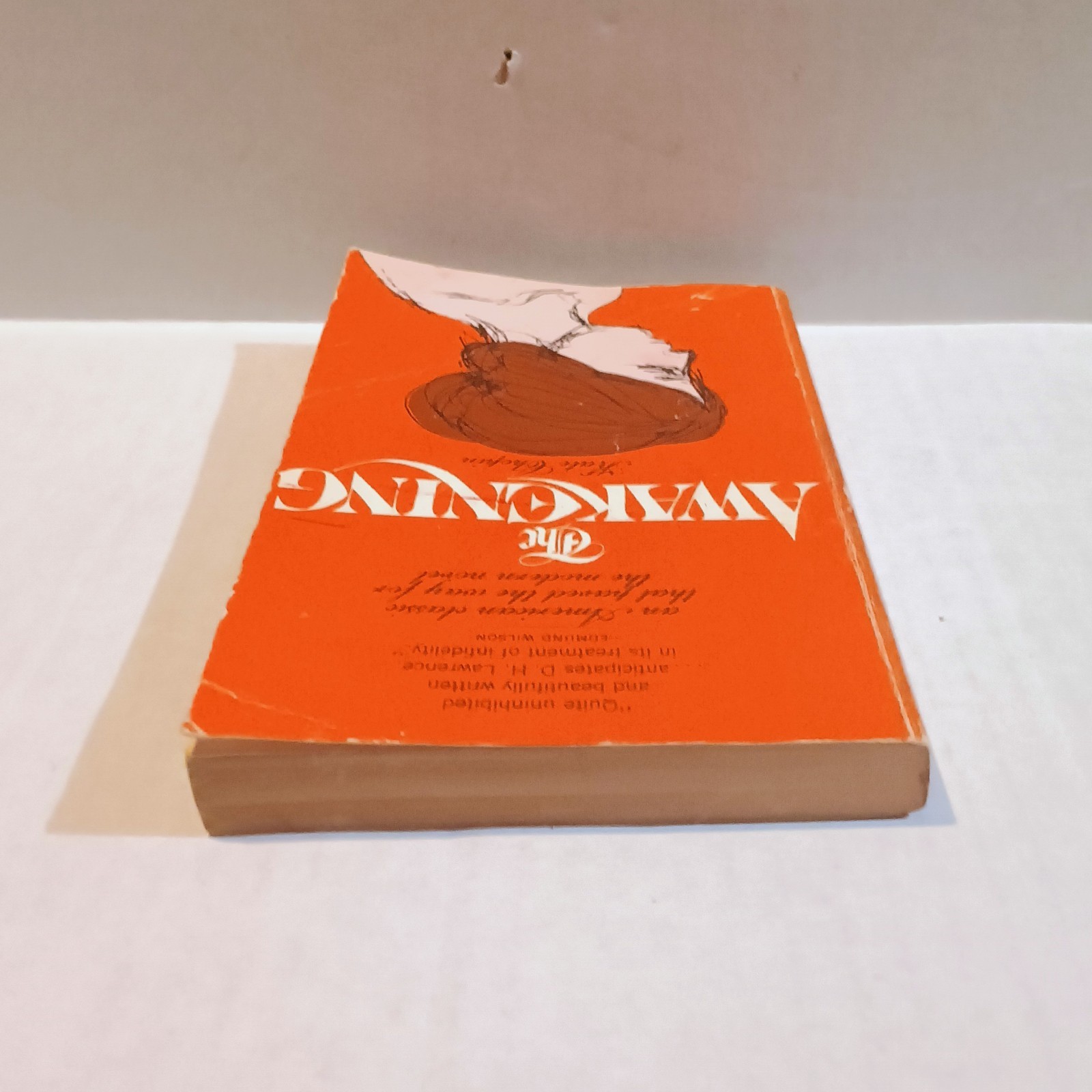 The Awakening-Kate Chopin-Capricorn Books-1964-Early Feminist Literature