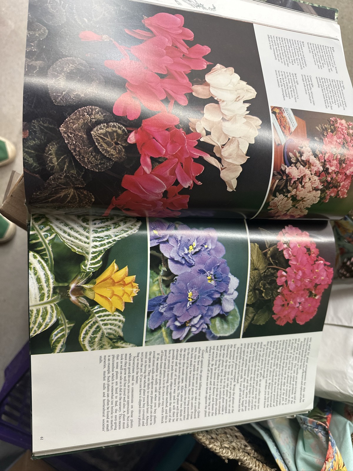 World Encyclopedia Of Indoor Plants & Flowers Joanna Kelly 1977 HC