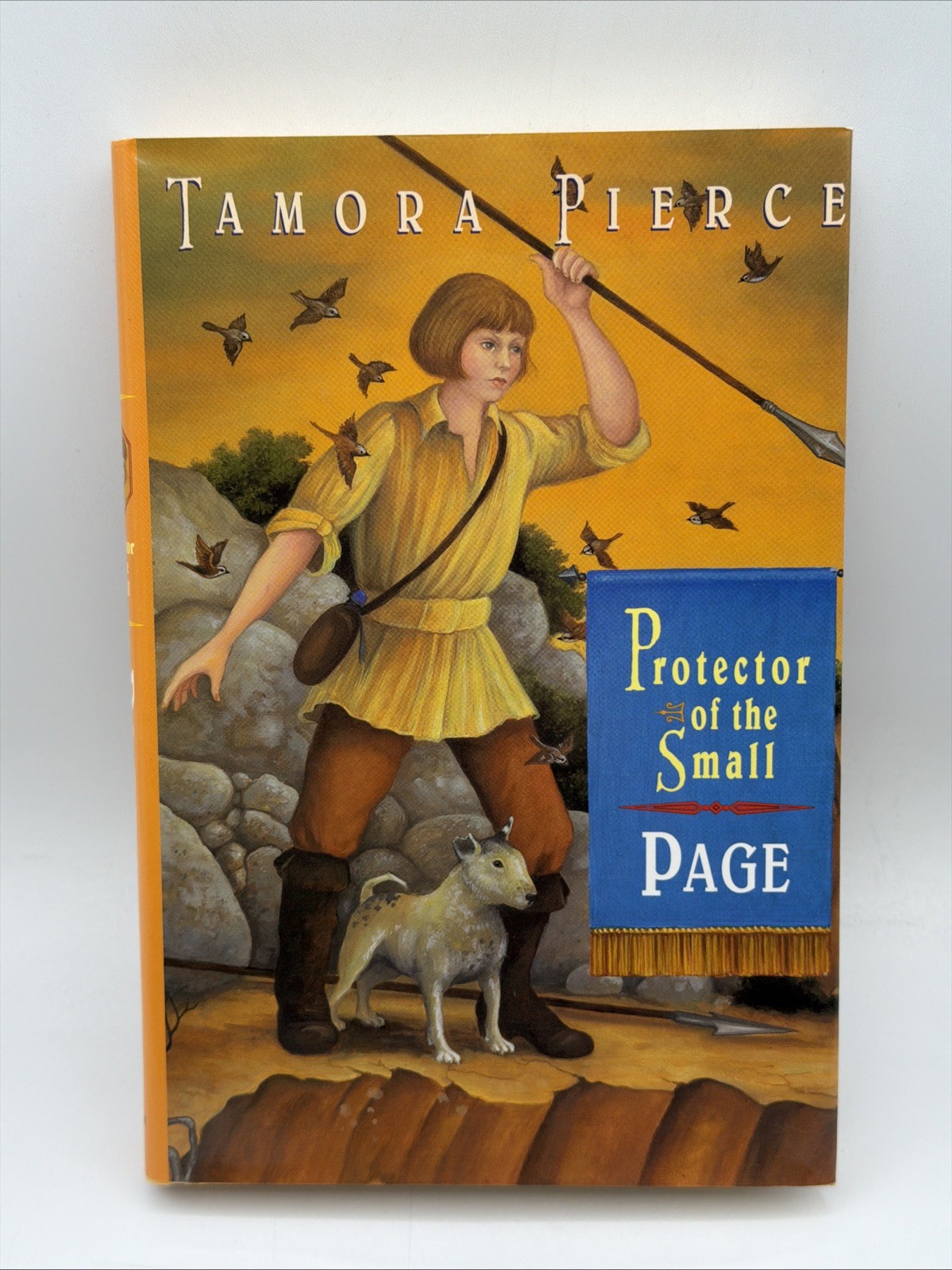 Protector of the Small Page Book 2 Hardcover By Tamora Pierce Random House Books