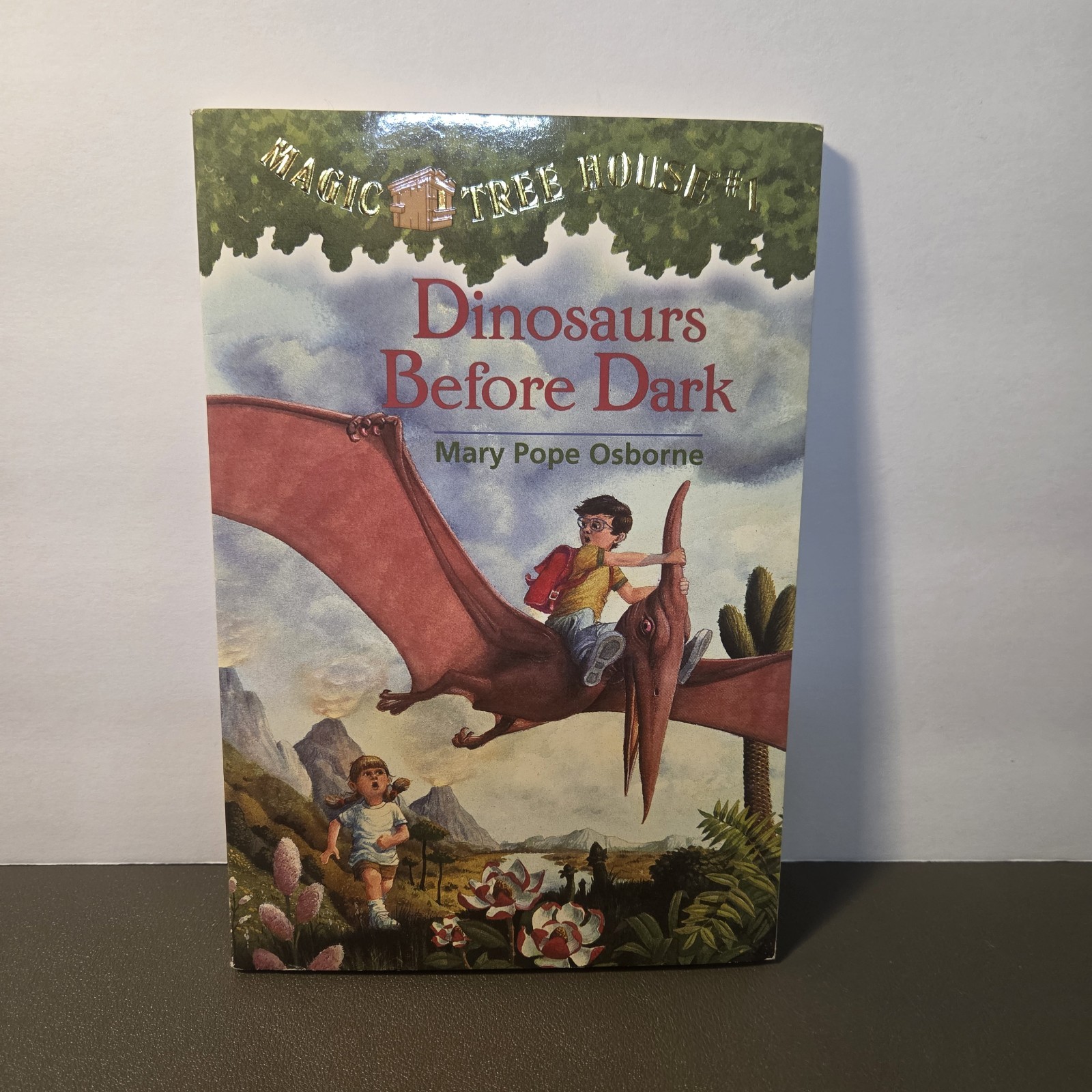 Magic Tree House #1 Dinosaurs Before Dark Paperback Book Mary Pope Osborne