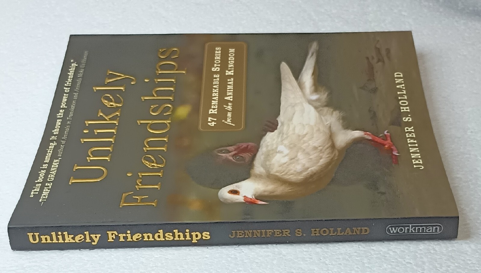 Unlikely Friendships Paperback Book Jennifer Holland Animals Relationships 2011