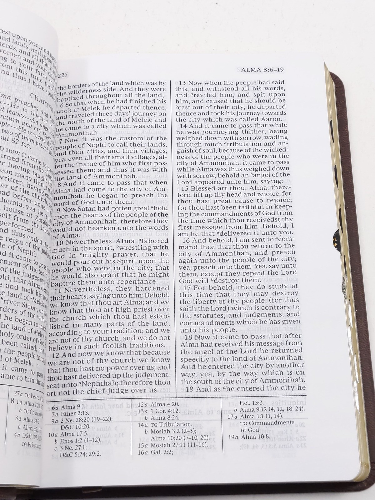 KJV Bible & Triple Combination (Simulated Leather Walnut Brown) Personalized