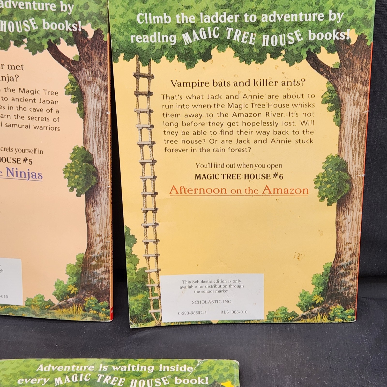 Magic Tree House Osbourne Good Morning Gorillas Night Ninjas Afternoon Amazon