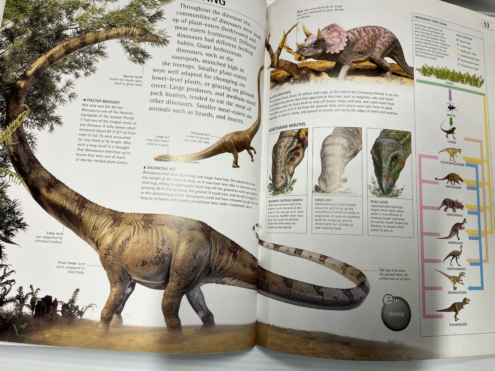 3 Dinosaurs Curriculum 3 Kids Student Information Home school Classroom Lot of 6