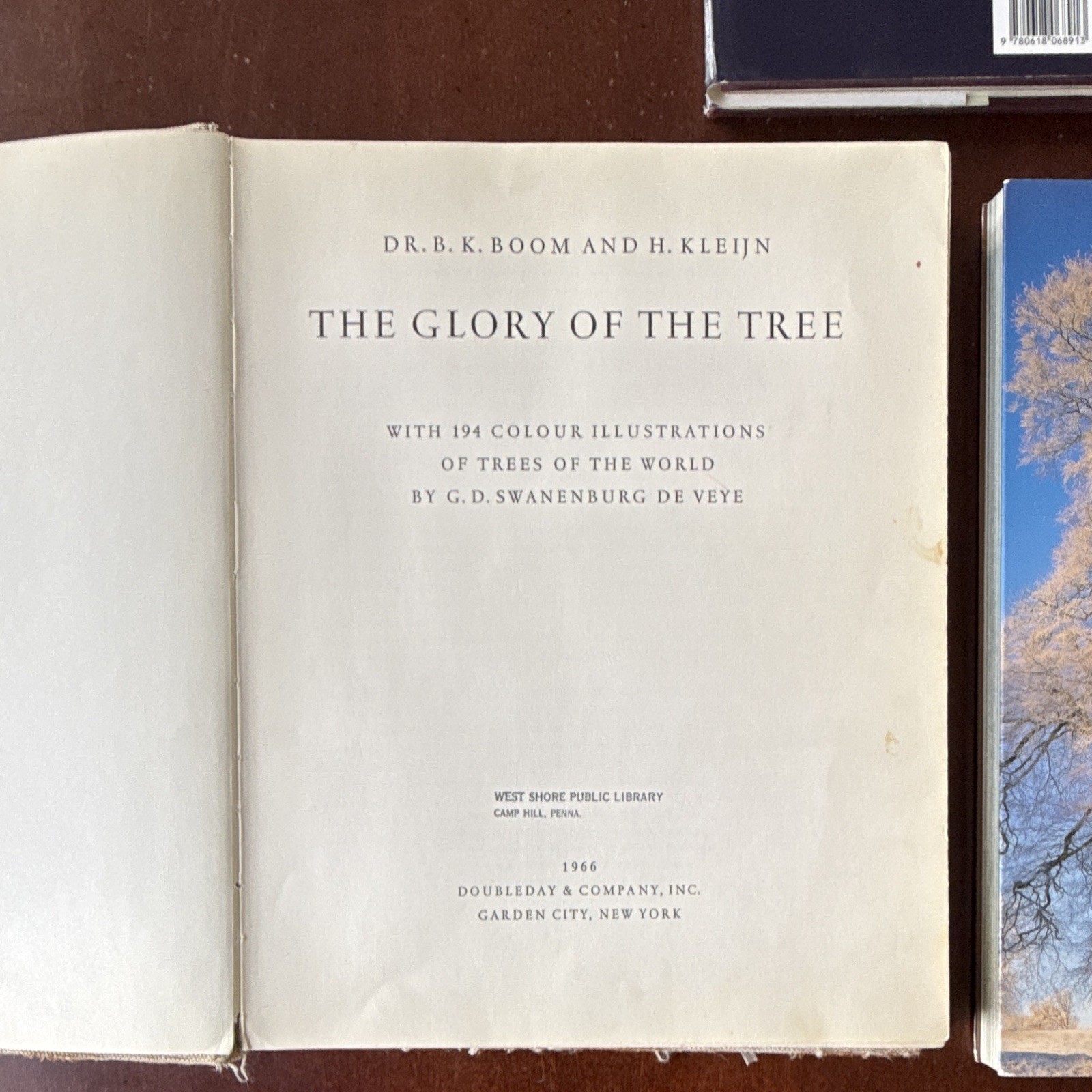 Meetings with Remarkable Trees, Thomas Pakenham PB Illustrated Random House