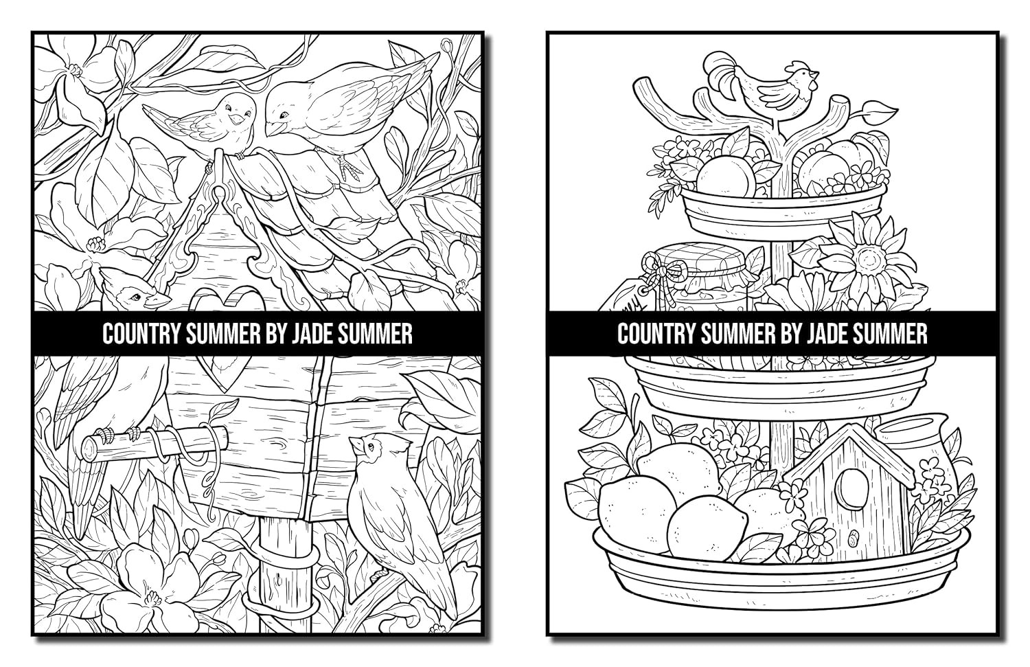 Country Summer: An Adult Coloring Book with 50 Detailed Images of Charming Count