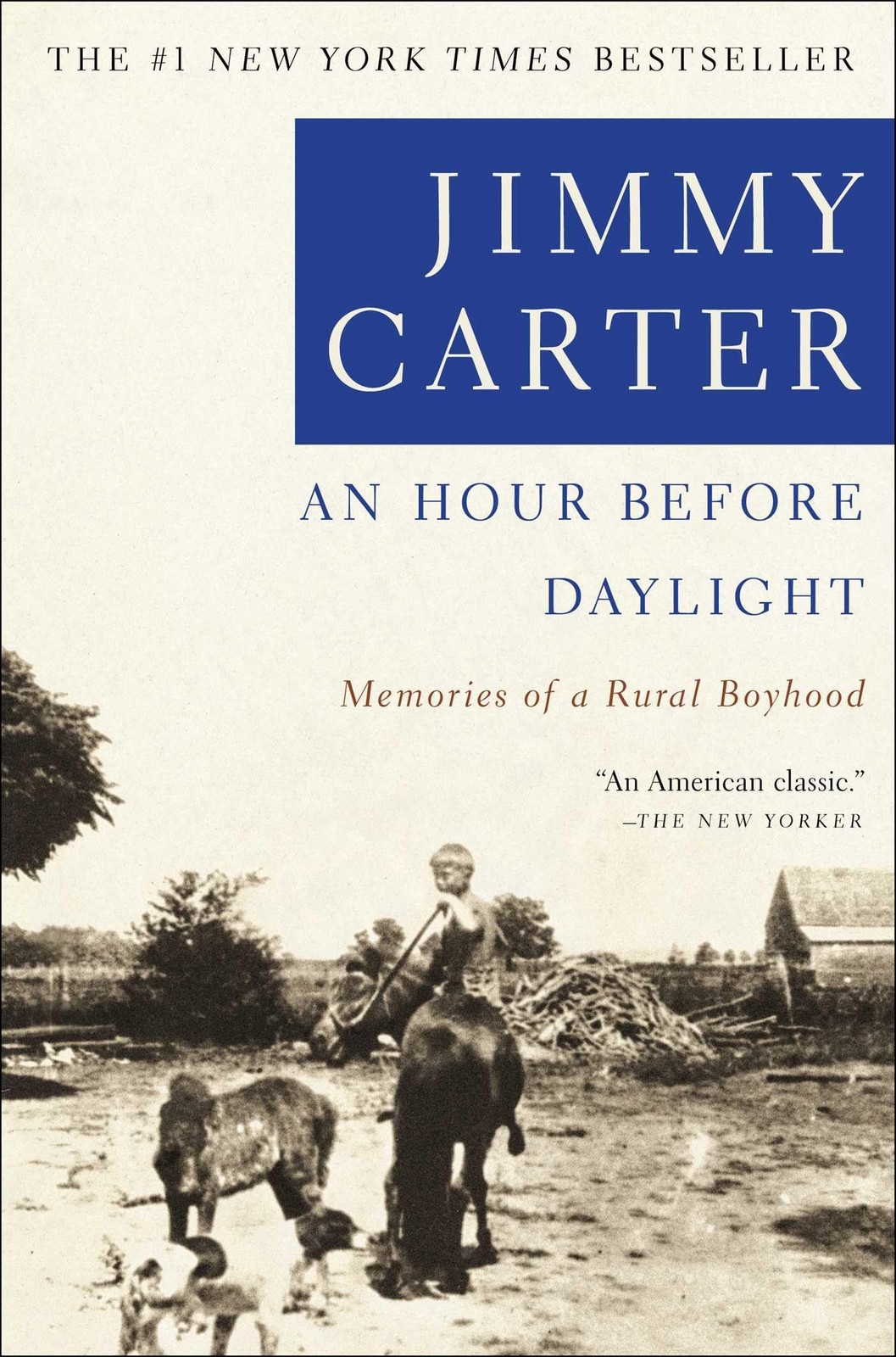 An Hour Before Daylight: Memories of a Rural Boyhood – Carter, Jimmy – Very …