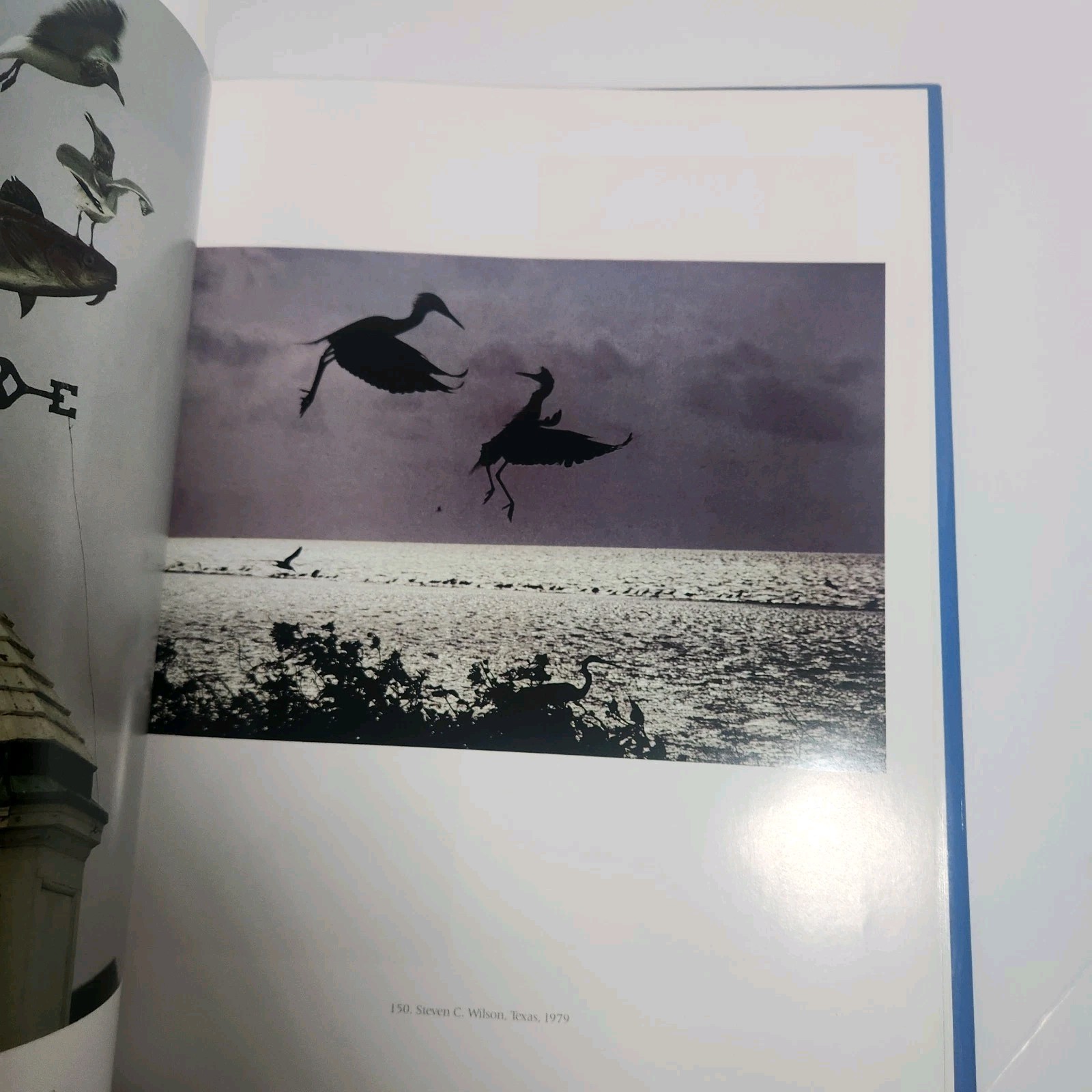 The Art of Photography at National Geographic – Livingston, Jane