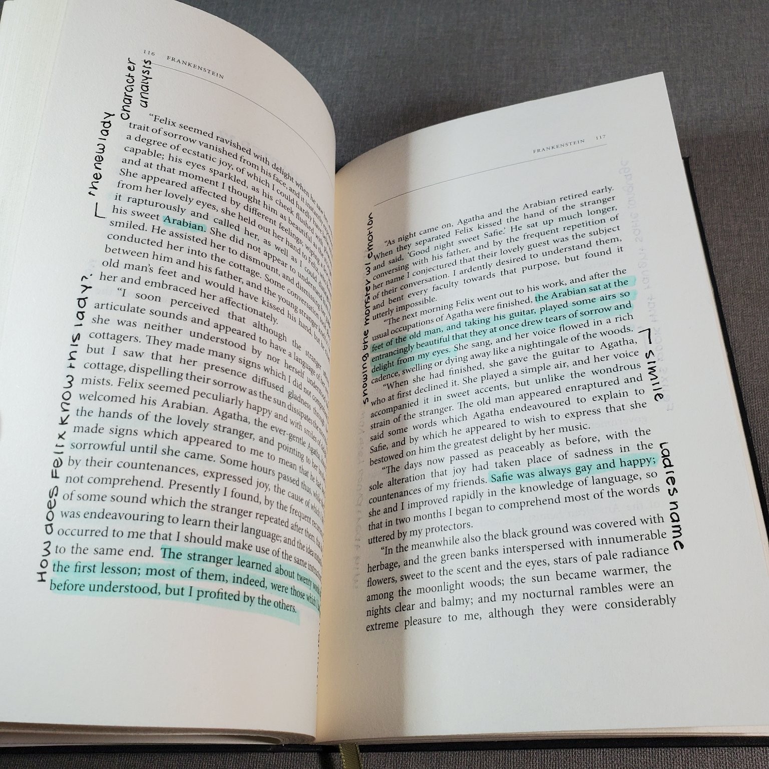 Frankenstein Mary Shelley 2018 Hardcover Paper Mill Press Classic Horror Novel