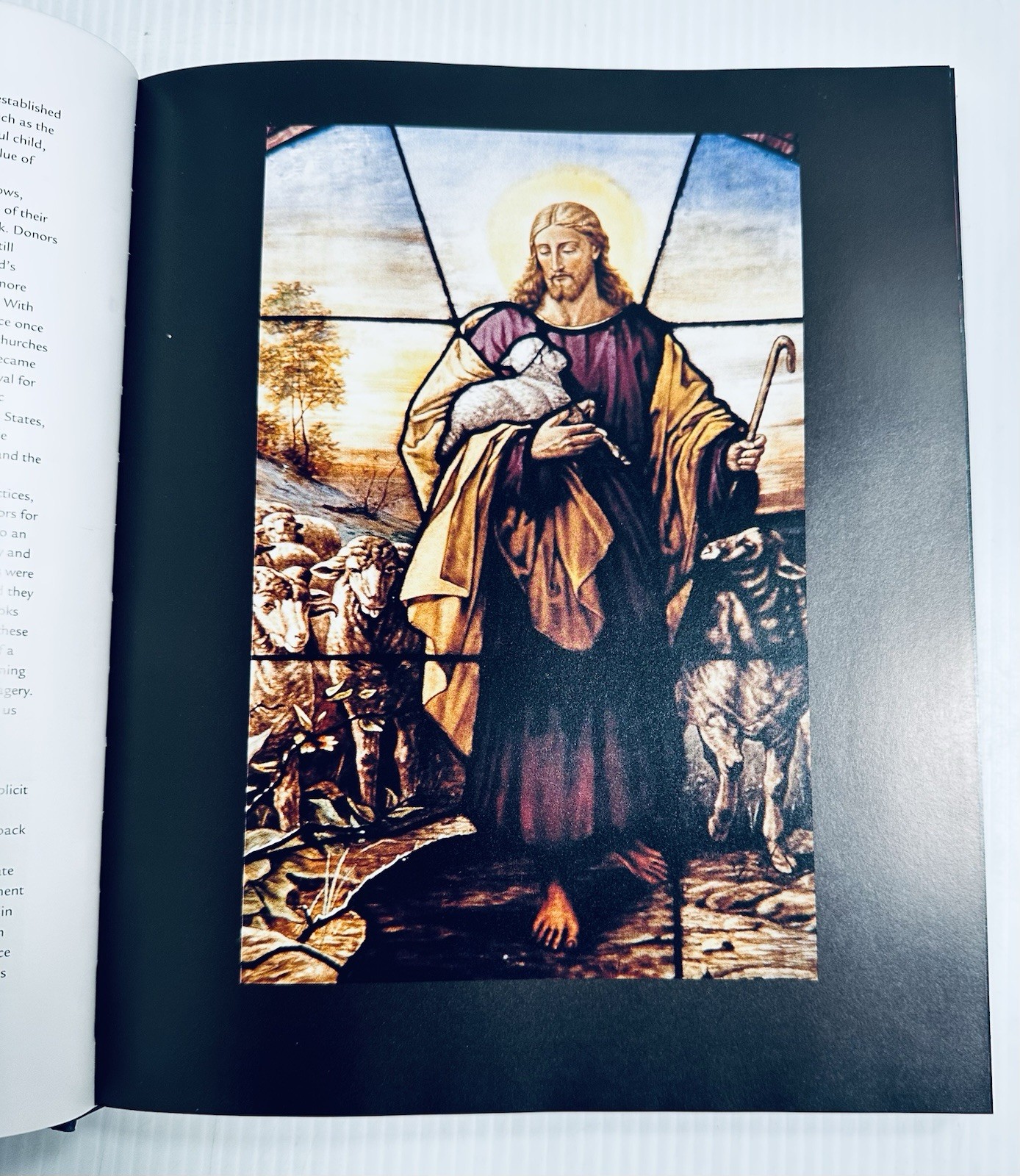 Virginia Raguin Stained Glass Origins to Present Art History Book Vintage 978081