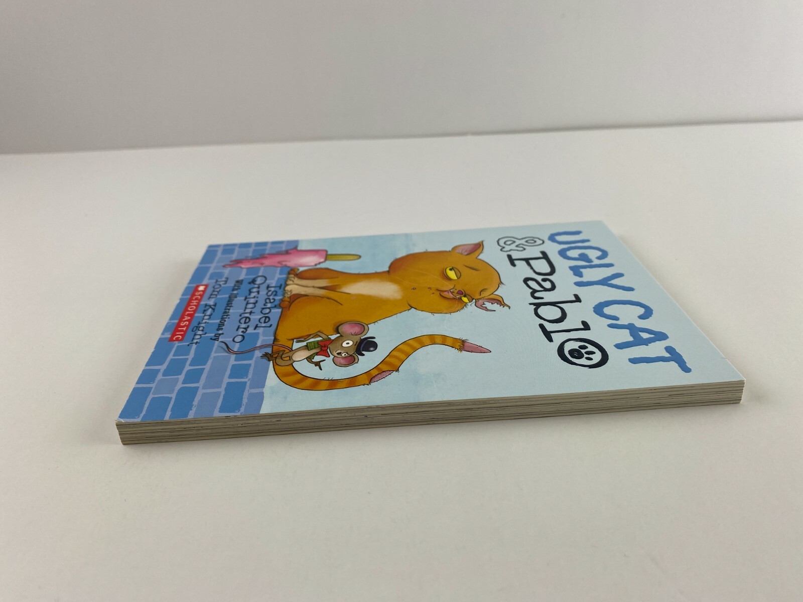 Ugly Cat and Pablo by Isabel Quintero (2017, Trade Paperback)