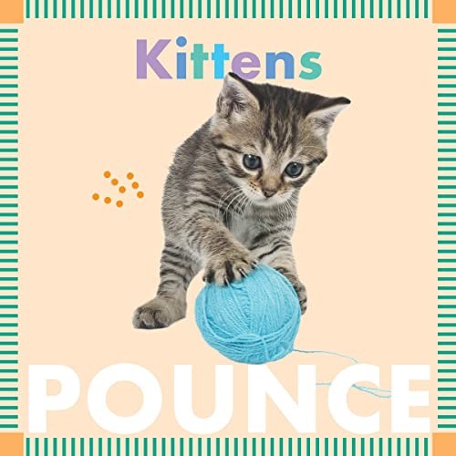 Kittens Pounce (Amicus Ink Boa – GOOD