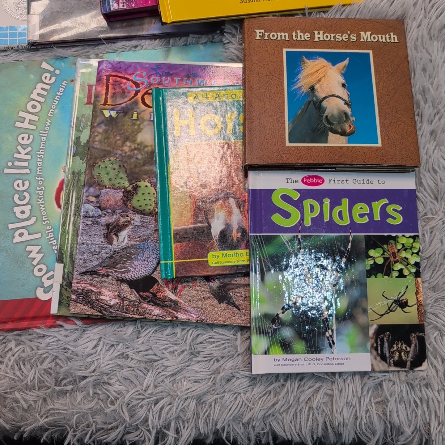 Bulk Lot of Mixed Books Various Authors & Genres Childhood Homeschool Learning