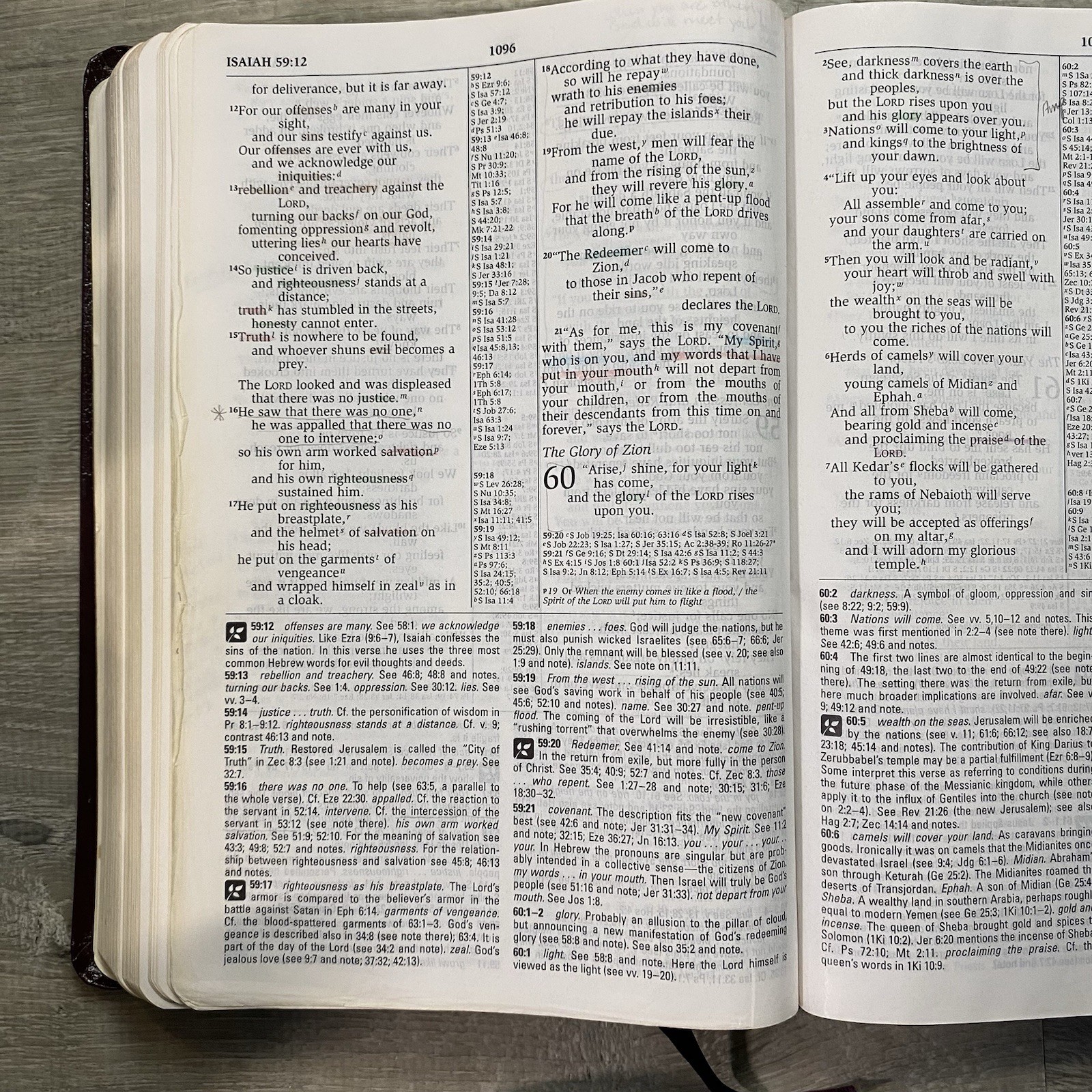 The NIV Study Bible 10th Anniversary Edition 1995 Bonded Leather Zondervan READ