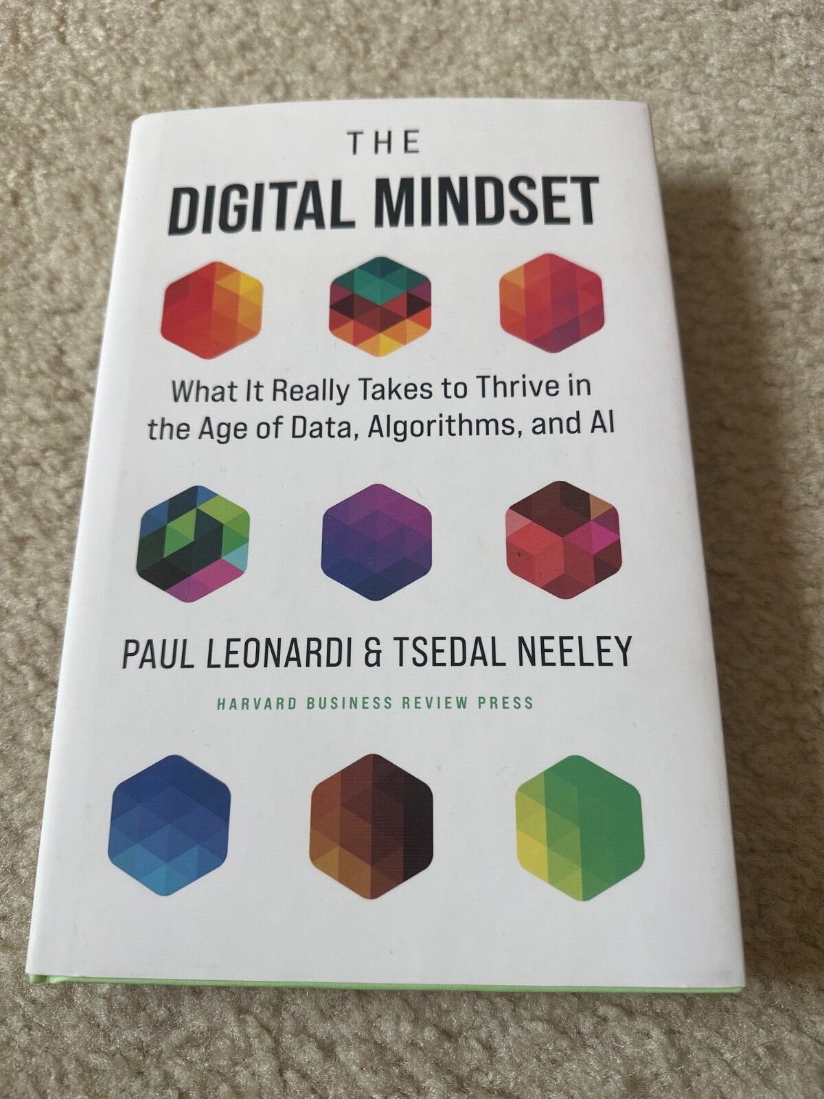 The Digital Mindset: What It Really Takes to Thrive in the Age of Data -LIKE NEW