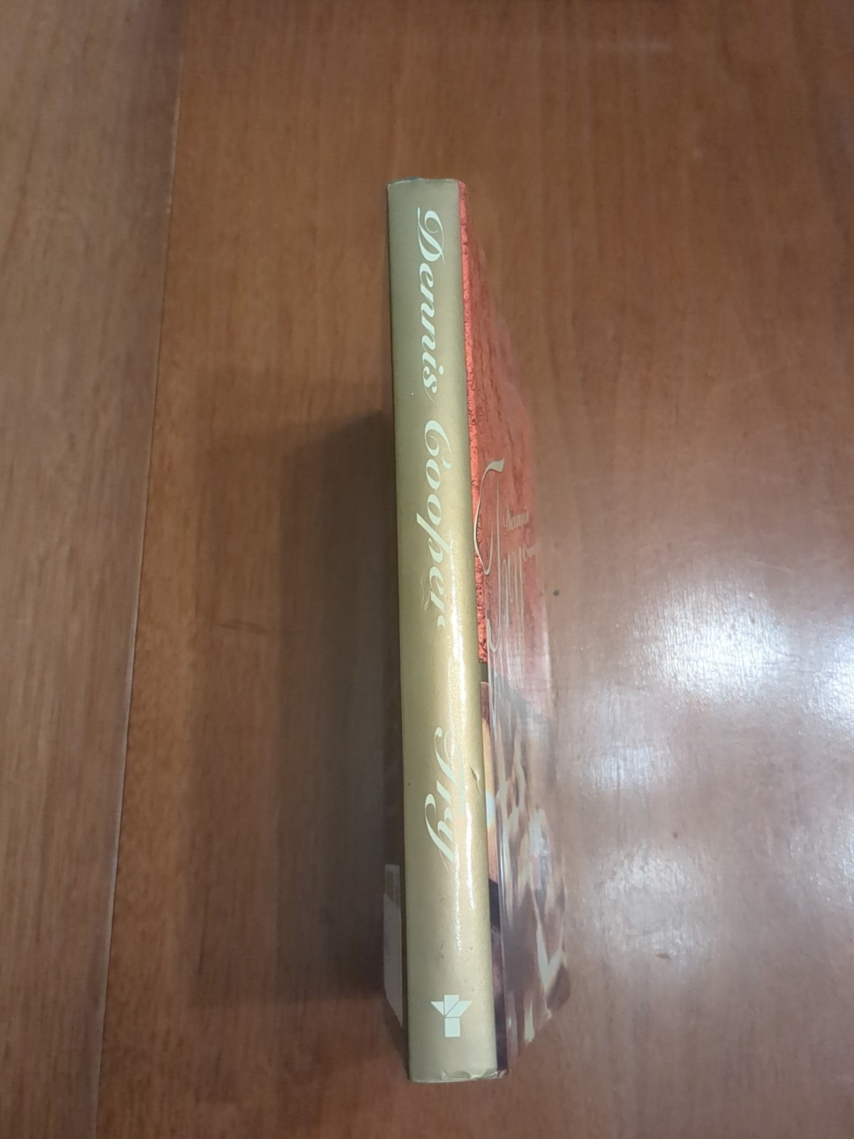 Try by Dennis Cooper (1994, Hardcover) – First Edition
