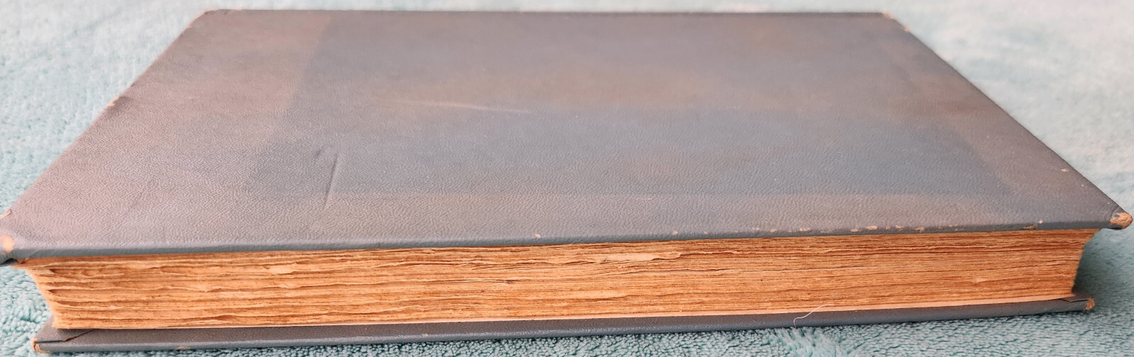 Woman In Love By Lucy Cores 1951 Hardcover 274 Deckel Edge Pages