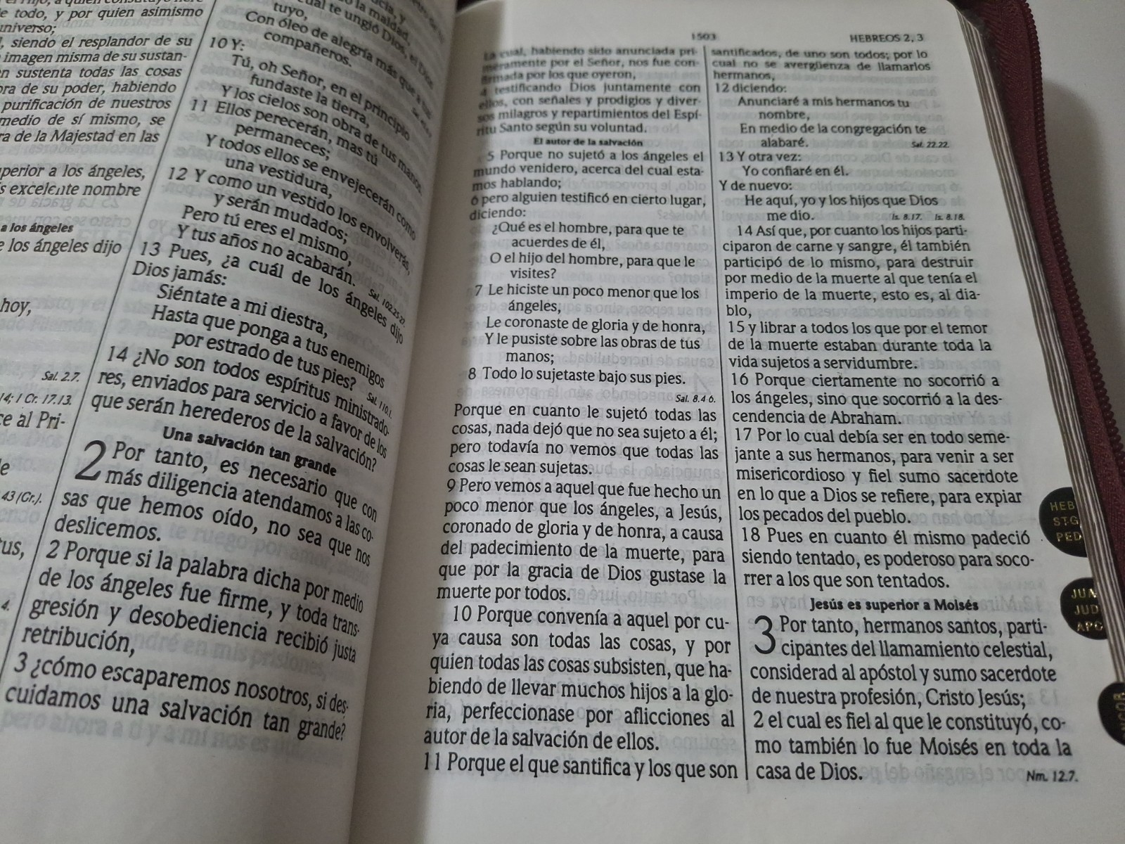 Santa Biblia Bilingual Bible RVR 1960/KJV Burgundy Imitation Leather (Spanish)