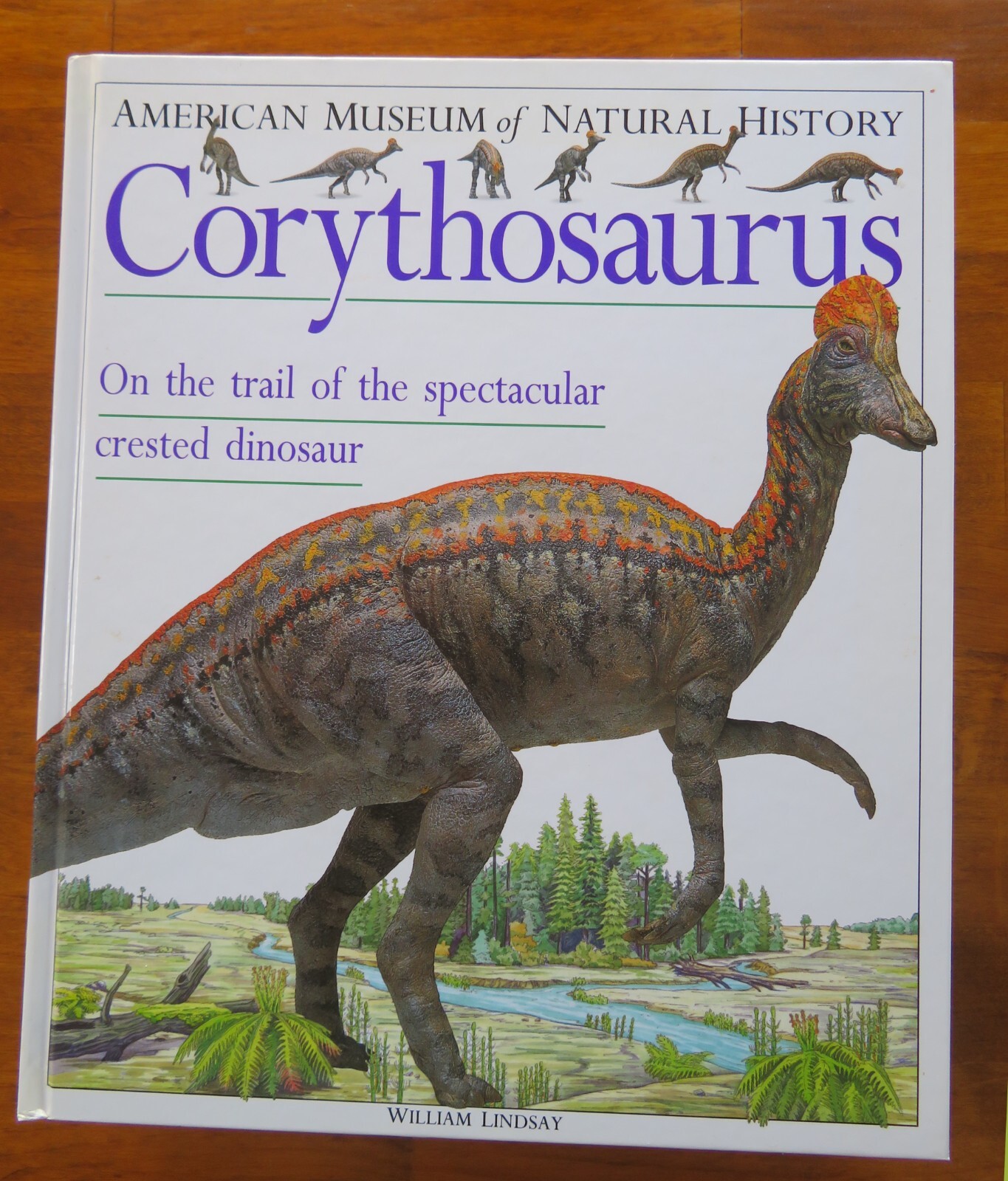 Dinosaur Books Lot 4 Inside Dinosaurs, Prehistoric Life, Corythosaurus, Jurassic
