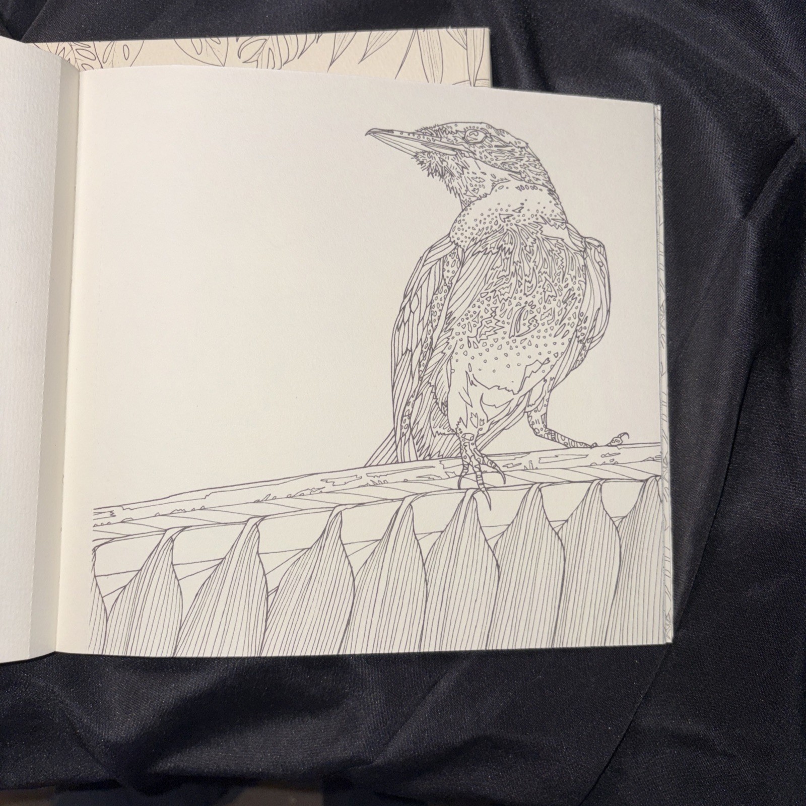 4 Adult Coloring Books by Jade Gedeon On Thick Paper 2016, 2017